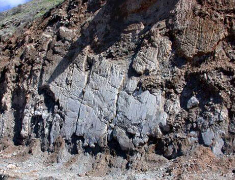 南宫NG·28(集团)相信品牌实力有限公司